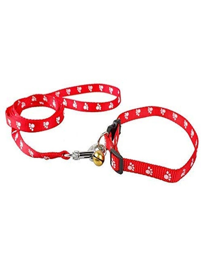 Pet Believe Nylon Paw Print 10MM Collar Set for Puppies and Cats,Multicolored - Image 1